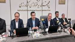 دیپلماسی کشاورزی با همسایگان و کشورهای حوزه آفریقا و شرق آسیا باید گسترش یابد